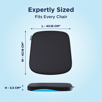 EGG SITTER SUPPORT CUSHION